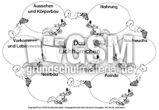 Mindmap-Eichhörnchen-4-SW.pdf